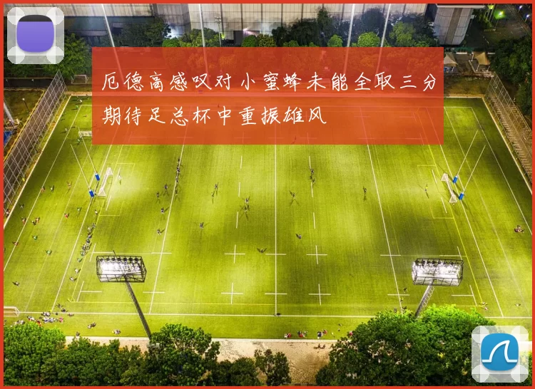 厄德高感叹对小蜜蜂未能全取三分期待足总杯中重振雄风