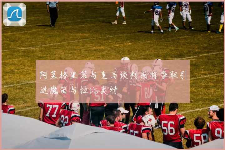 阿莱格里若与皇马谈判或将争取引进魔笛与拉比奥特