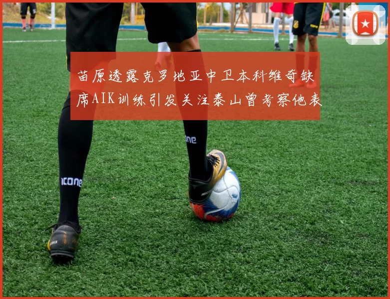 苗原透露克罗地亚中卫本科维奇缺席AIK训练引发关注泰山曾考察他表现